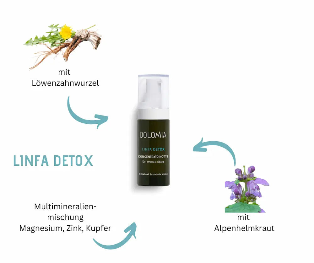 Dolomia Linfa Detox Concentrato Notte Pumpspender mit Inhaltsstoffen Löwenzahnwurzel, Alpenhelmkraut sowie Magnesium, Zink und Kupfer