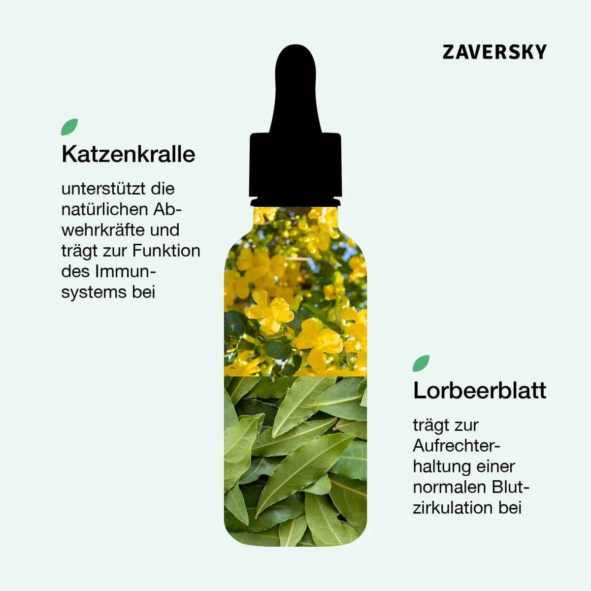 Zaversky Infografik mit Tropfenflasche, gefüllt mit Bildern von Katzenkralle und Lorbeerblatt, samt Hinweisen zu Immunsystem und Blutzirkulation