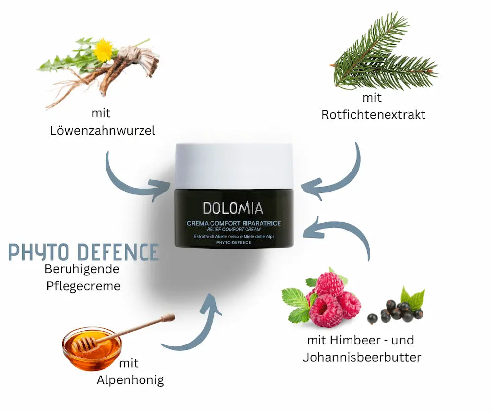 Dolomia Beruhigende Pflegecreme Phyto Defence im dunklen Tiegel, umgeben von Löwenzahnwurzel, Rotfichtenextrakt, Himbeer-Johannisbeerbutter und Alpenhonig