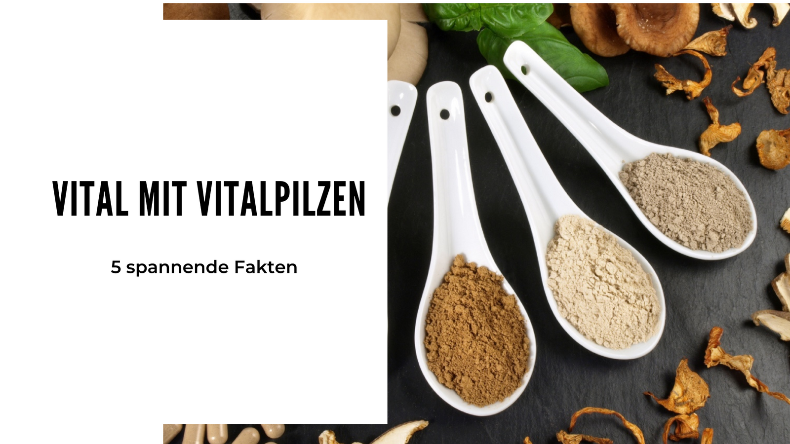 Vital mit Vitalpilzen - 5 spannende Fakten