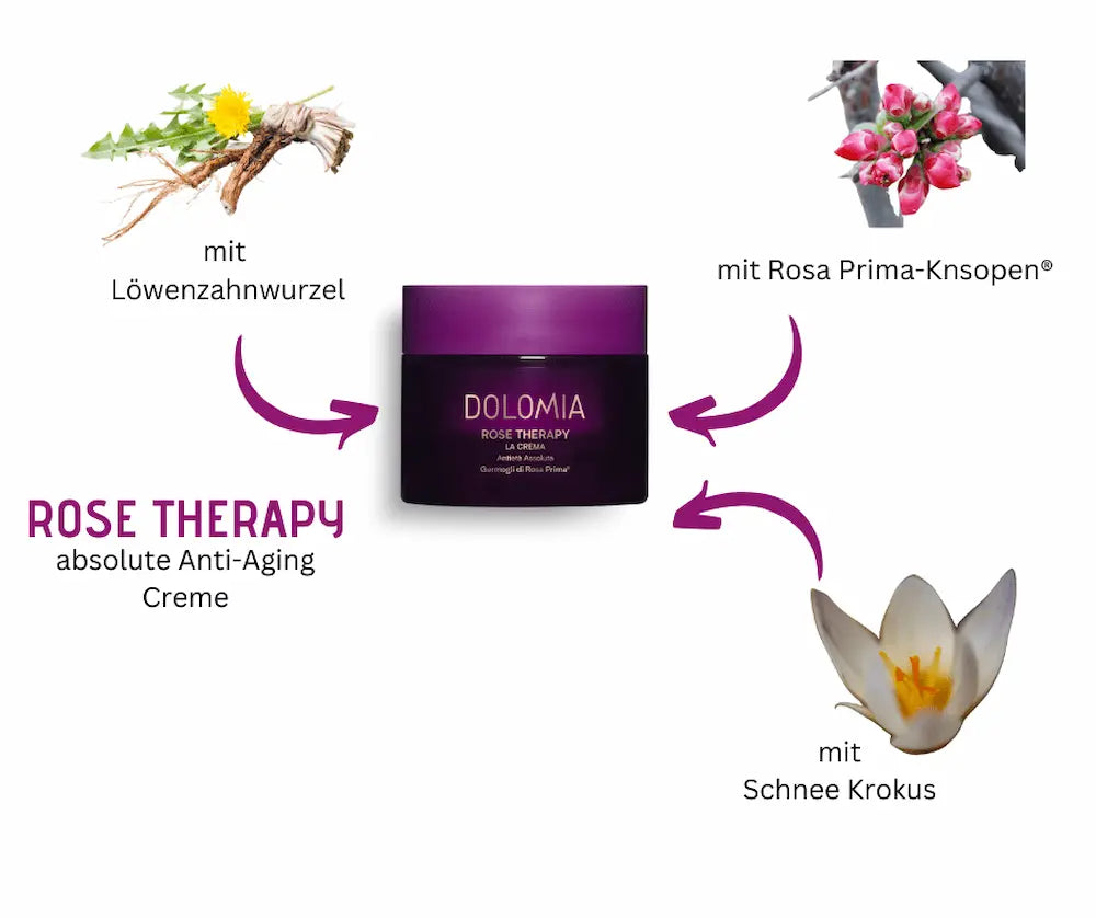Lila Cremetiegel Dolomia Rose Therapy La Crema mit Löwenzahnwurzel, Rosa Prima-Knospen und Schneekrokus als Inhaltsstoffe
