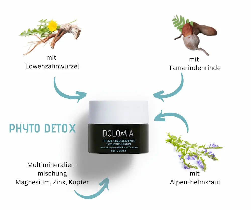 DOLOMIA Crema Ossigenante Phyto Detox im dunklen Tiegel, umgeben von Löwenzahnwurzel, Tamarindenrinde, Alpenhelmkraut und Multimineralienmischung