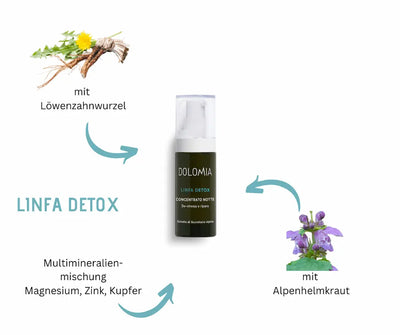Dolomia Linfa Detox Concentrato Notte Pumpspender mit Inhaltsstoffen Löwenzahnwurzel, Alpenhelmkraut sowie Magnesium, Zink und Kupfer