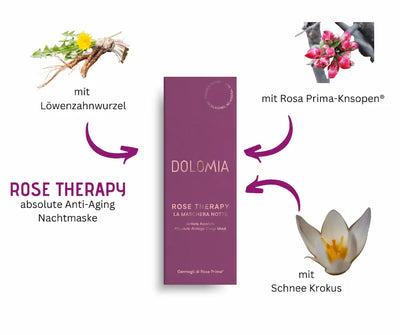 Dolomia Rose Therapy absolute Anti-Aging Nachtmaske in violetter Verpackung mit Löwenzahnwurzel, Rosa Prima-Knospen und Schnee Krokus
