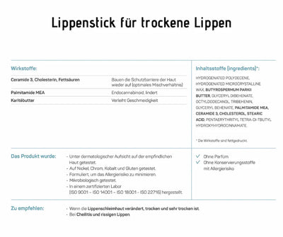Infografik zum Lippenstick für trockene Lippen mit Wirkstoffen, Inhaltsstoffen, Produkttests und Anwendungsempfehlungen