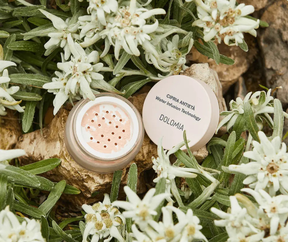 Geöffneter Tiegel mit losem rosé-farbenem Puder von Dolomia Cipria Antietà Water Infusion Technology auf Holz zwischen Edelweissblüten.