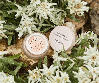 Geöffneter Tiegel mit losem rosé-farbenem Puder von Dolomia Cipria Antietà Water Infusion Technology auf Holz zwischen Edelweissblüten.
