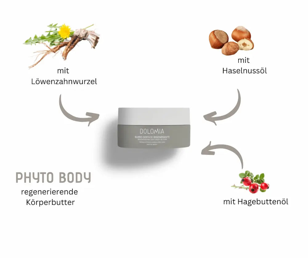 Dolomia Phyto Body regenerierende Körperbutter im Tiegel, umgeben von Löwenzahnwurzel, Haselnussöl und Hagebuttenöl als Inhaltsstoffe
