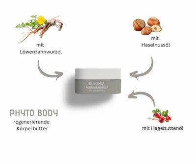 Dolomia Phyto Body regenerierende Körperbutter im Tiegel, umgeben von Löwenzahnwurzel, Haselnussöl und Hagebuttenöl als Inhaltsstoffe