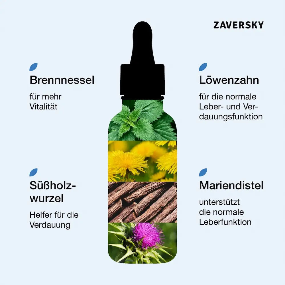 Infografik einer Tropfenflasche mit Brennnessel, Löwenzahn, Süßholzwurzel und Mariendistel zur Unterstützung von Leber und Verdauung