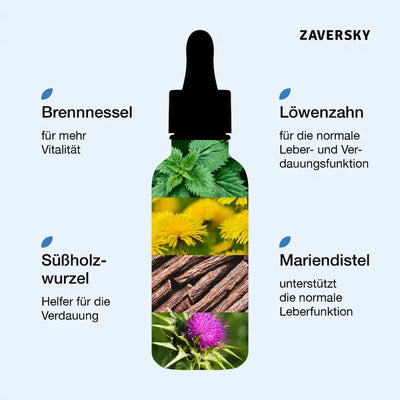 Infografik einer Tropfenflasche mit Brennnessel, Löwenzahn, Süßholzwurzel und Mariendistel zur Unterstützung von Leber und Verdauung